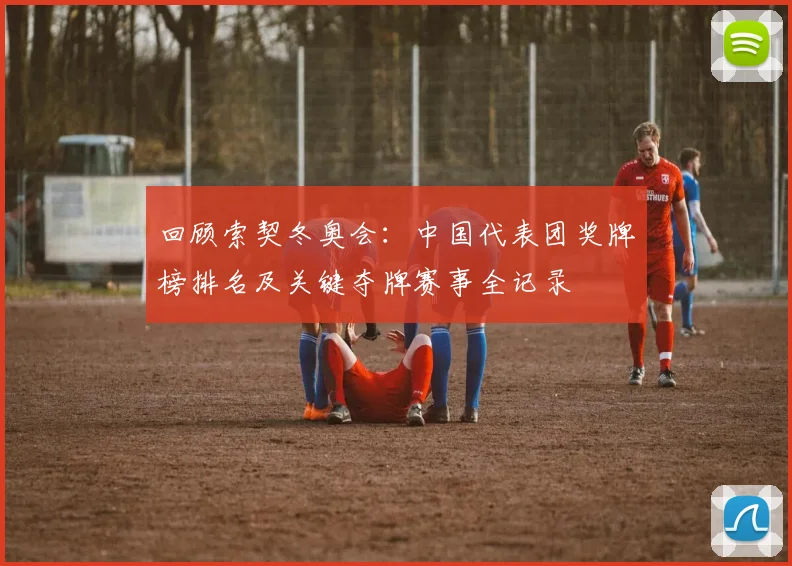 回顾索契冬奥会：中国代表团奖牌榜排名及关键夺牌赛事全记录